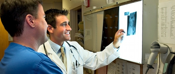 medical professionals